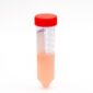 PBMC-1100-01 ii