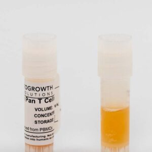 Human Pan T Cells, Cryopreserved